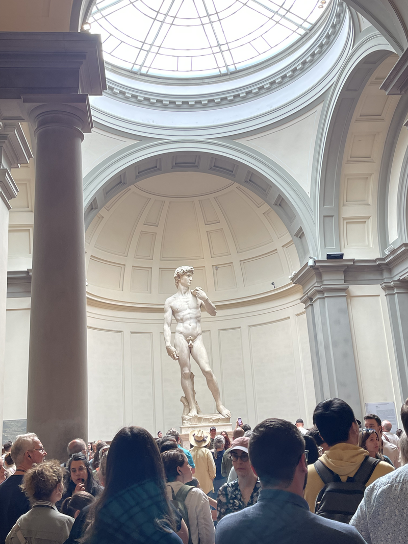 Michelangelo's David at the Accademia Gallery
