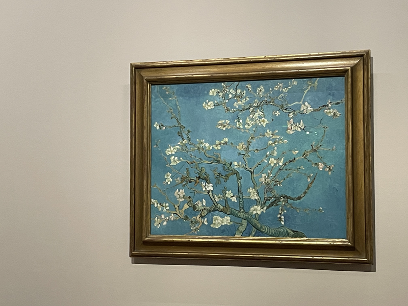 Almond Blossom