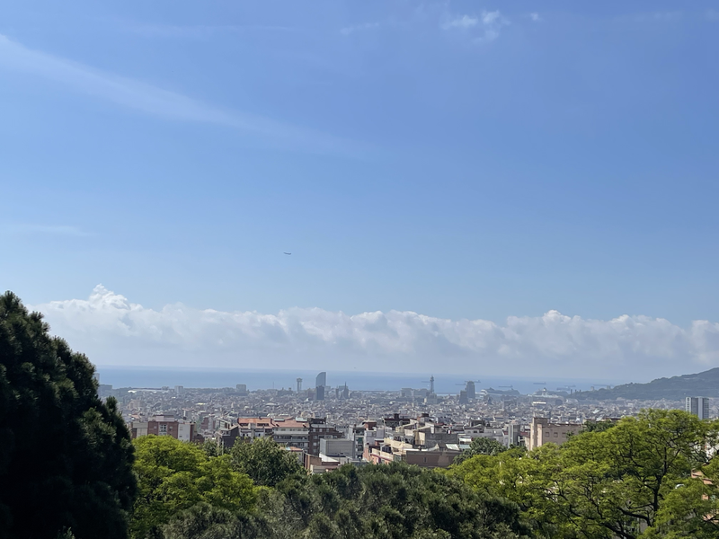Basking in Barcelona