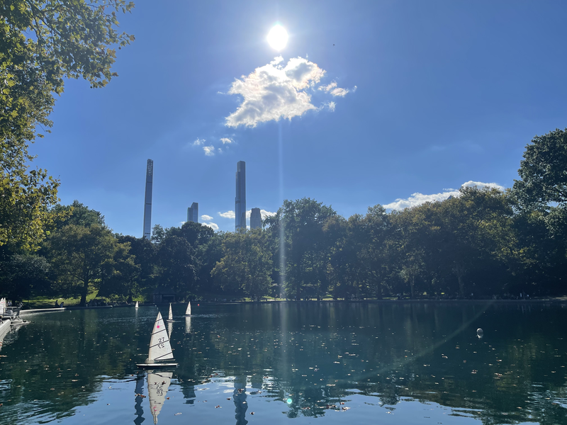 Lake in Central Park