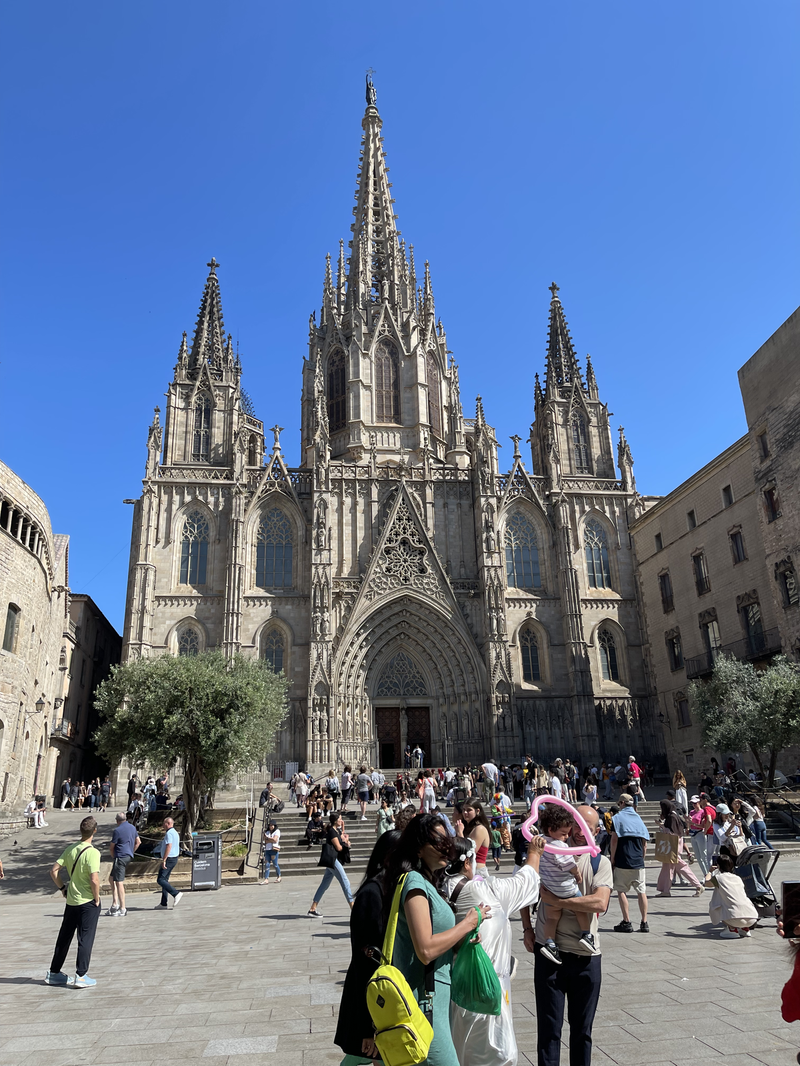 The Barcelona Cathedral