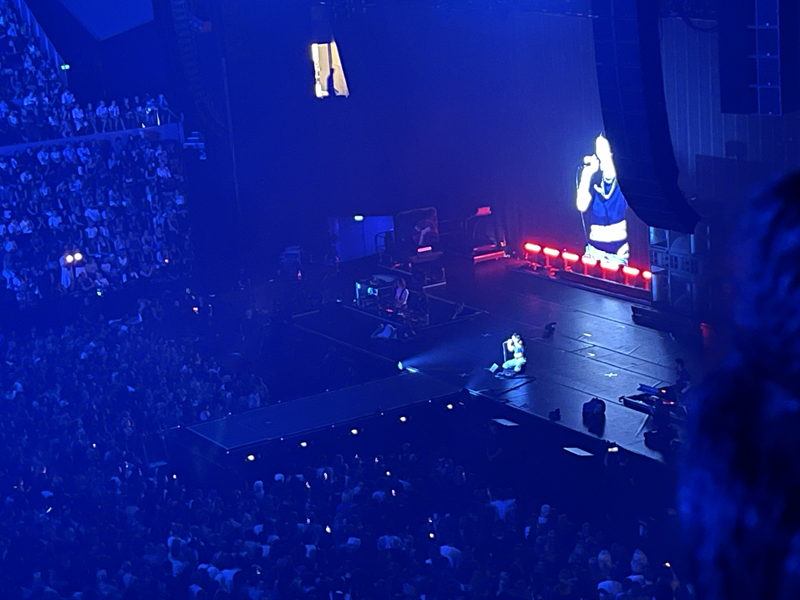 Lorde singing in the concert