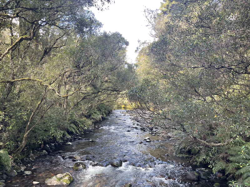 Mangawhero River