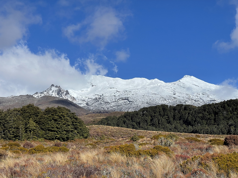 An Excursion to the National Park