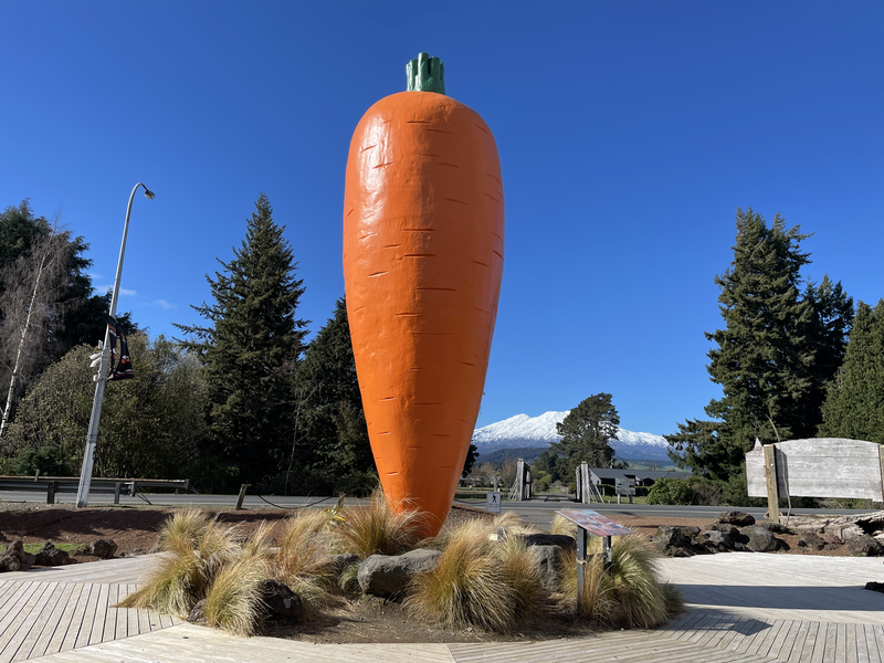 Ohakune Carrot