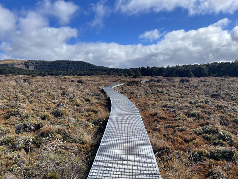 Silica rapids Path