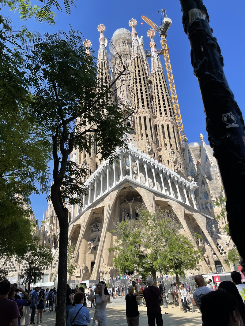 The Sagrada La Familia Cathedral
